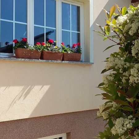 Apartments Place4You Бьеловар Экстерьер фото